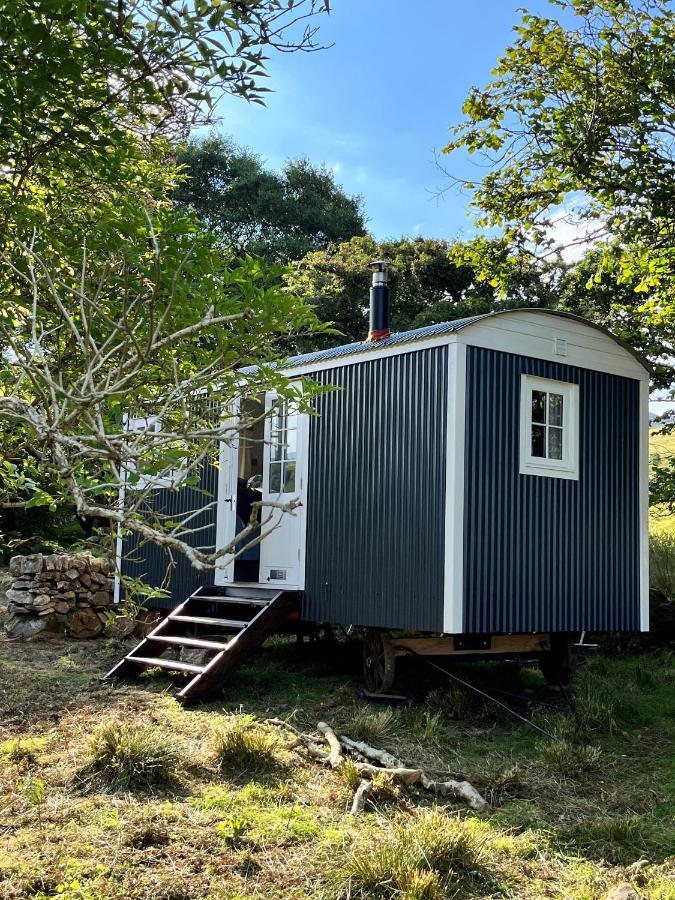 Вилла The Hazel Hut Вэстпорт Экстерьер фото