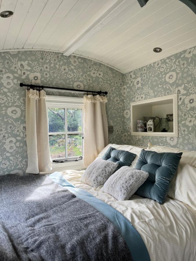 Вилла The Hazel Hut Вэстпорт Экстерьер фото